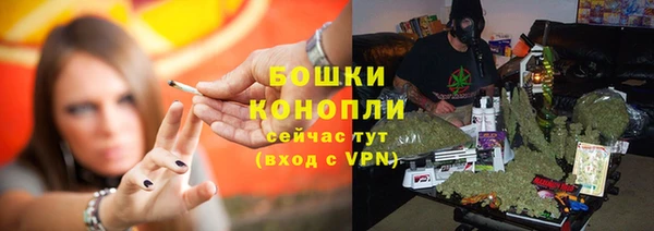 сатива Верея