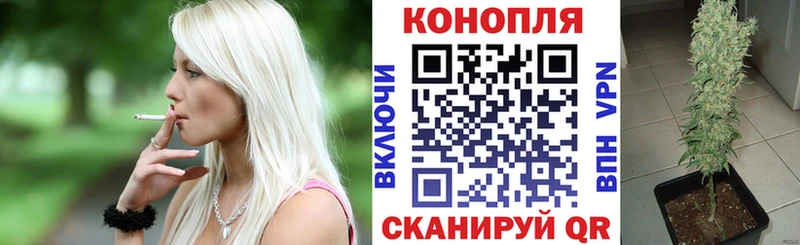 Марихуана ГИДРОПОН  купить   kraken рабочий сайт  Павловский Посад 